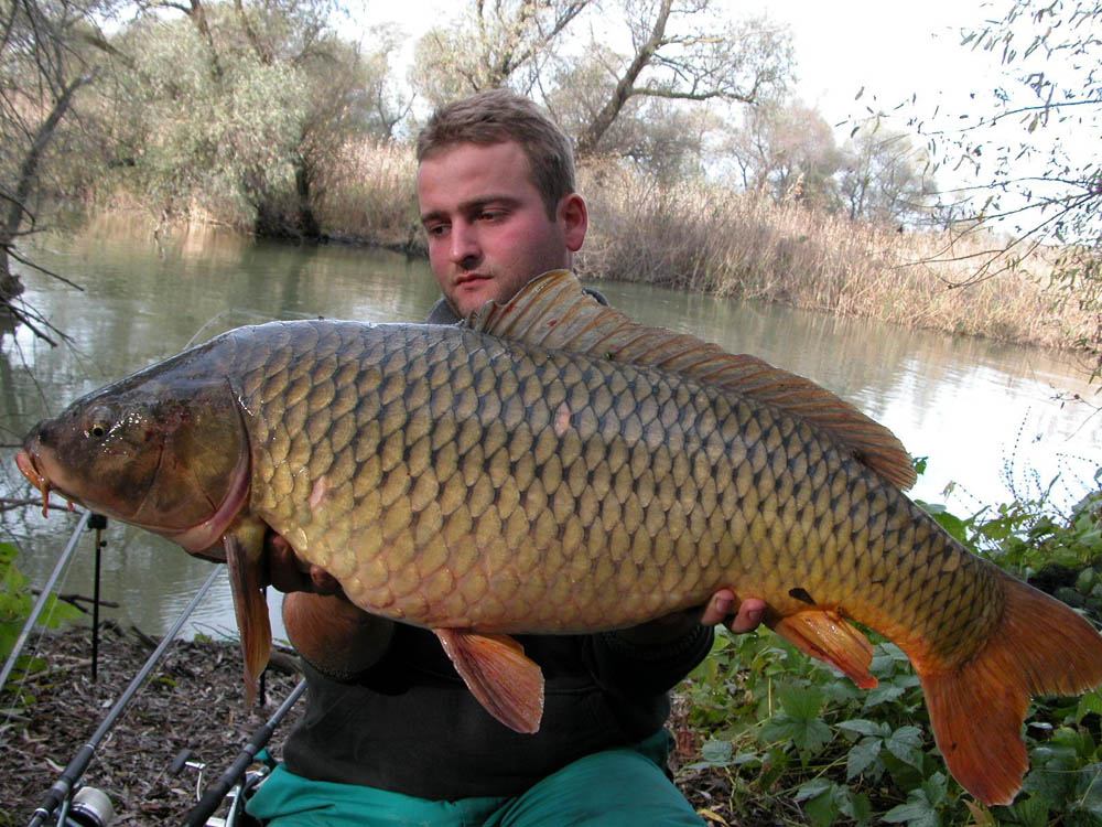 BRIGADA DIVERSE  - DSCN0442.JPG